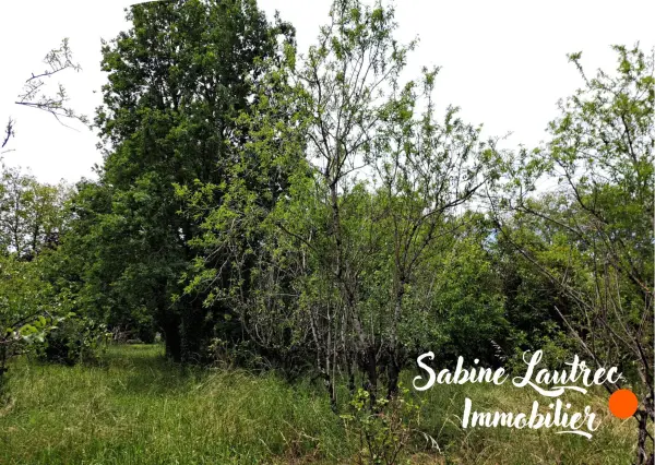 Vénès 81440 – Vente terrain