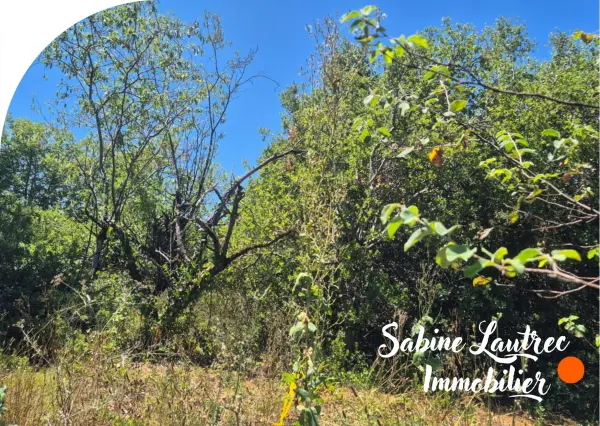 Vénès 81440 – Vente terrain