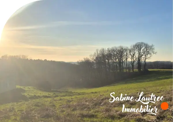 Réalmont 81120 – Vente terrain