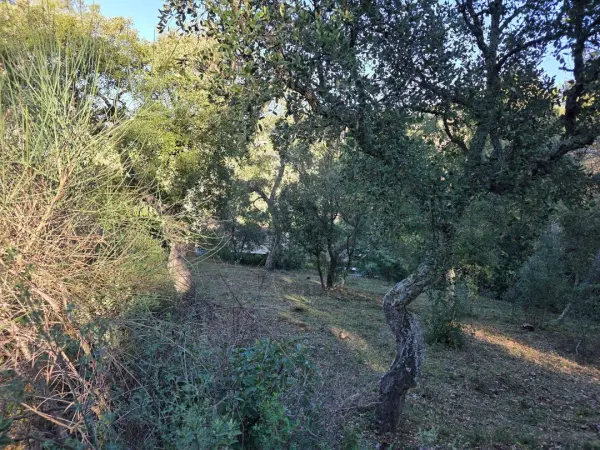 Pierrefeu-du-Var 83390 – Vente terrain