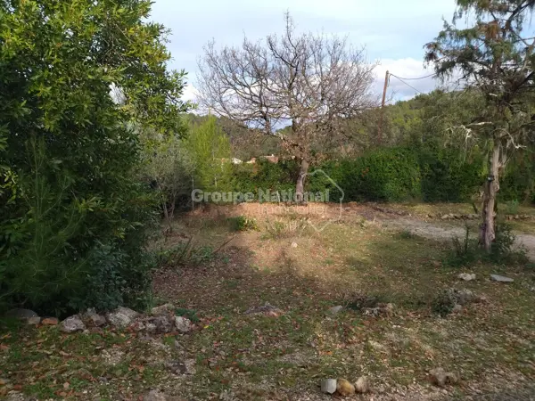 Le Thoronet 83340 – Vente terrain