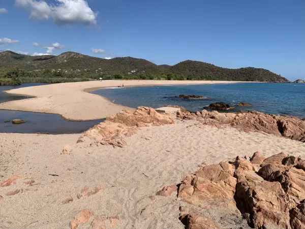 Zonza 20144 – Vente appartement 1&nbsp;pièce