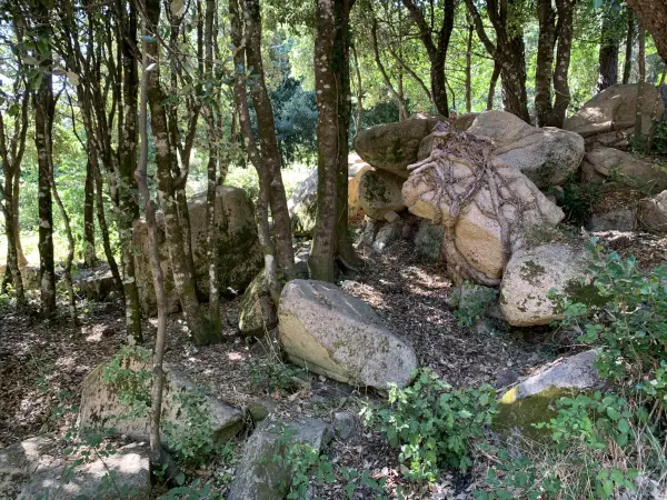 Porto-Vecchio 20137 – Vente terrain