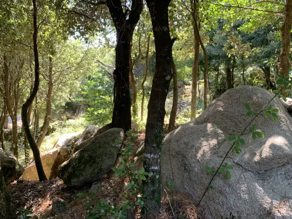 Porto-Vecchio 20137 – Vente terrain
