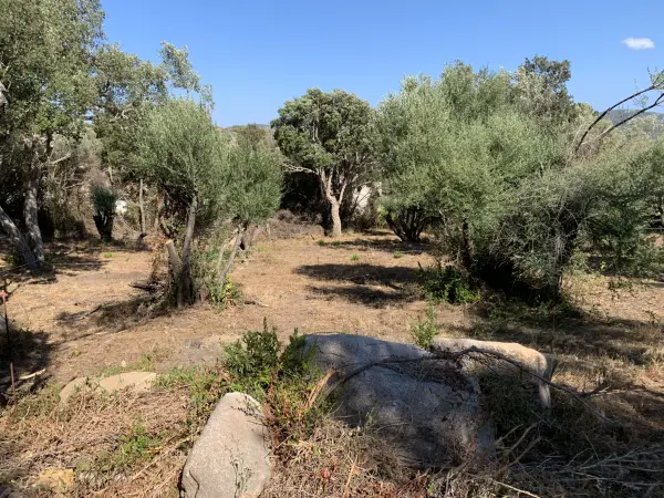 Sotta 20146 – Vente maison/villa 4&nbsp;pièces 3&nbsp;chambres