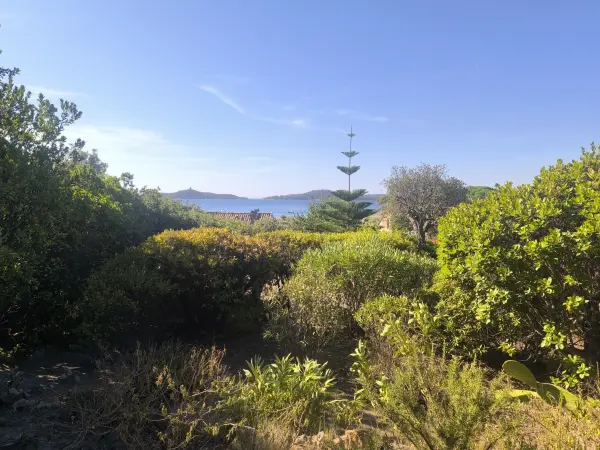 Zonza 20144 – Vente maison/villa 4&nbsp;pièces 2&nbsp;chambres