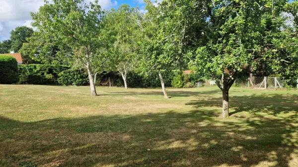 Saint-Martin-de-Seignanx 40390 – Vente terrain