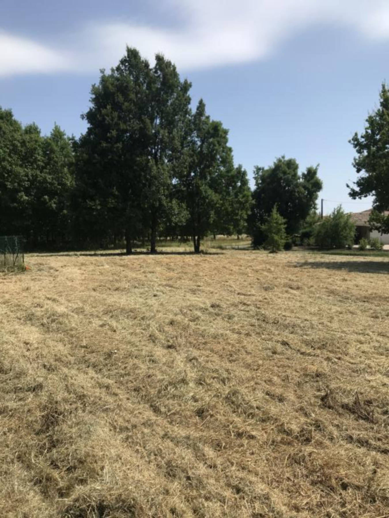 Montauban 82000 – Vente terrain
