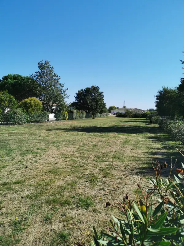 Montauban 82000 – Vente terrain