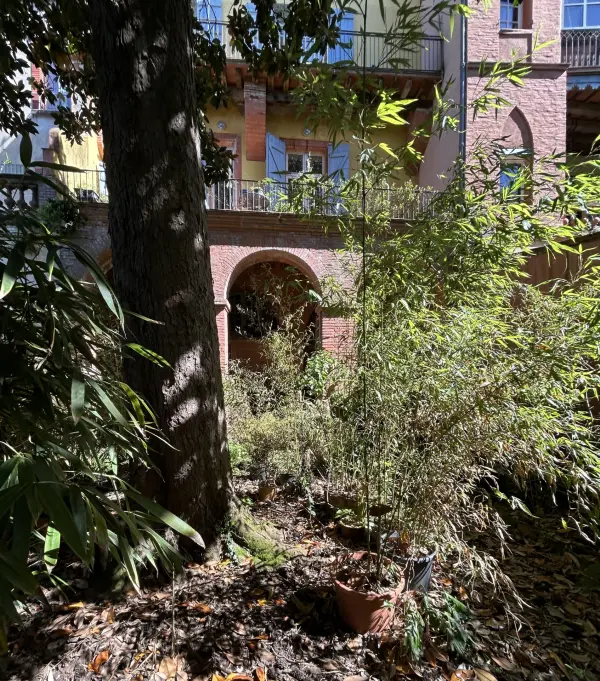 Montauban 82000 – Vente appartement 2&nbsp;pièces 1&nbsp;chambre