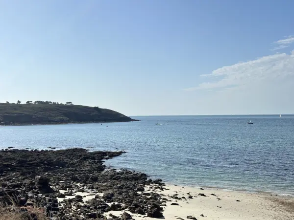 Arzon 56640 – Vente de prestige maison/villa 10&nbsp;pièces 5&nbsp;chambres