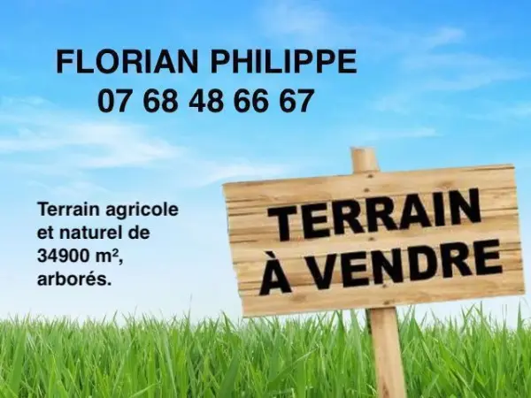 La Dominelais 35390 – Vente terrain