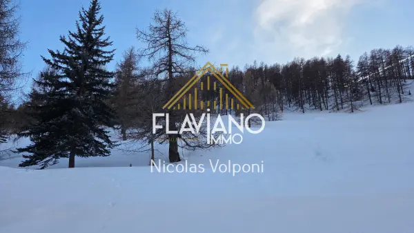 La Condamine-Châtelard 04530 – Vente terrain