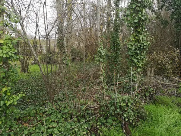 Bréviandes 10450 – Vente terrain 2&nbsp;pièces