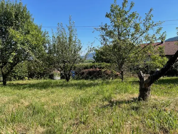 Farges 01550 – Vente terrain