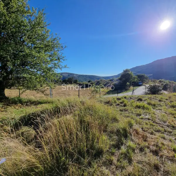 Escragnolles 06460 – Vente terrain