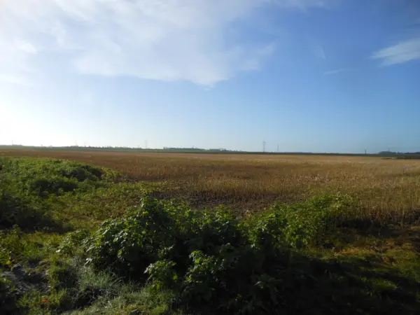 Quarouble 59243 – Vente terrain