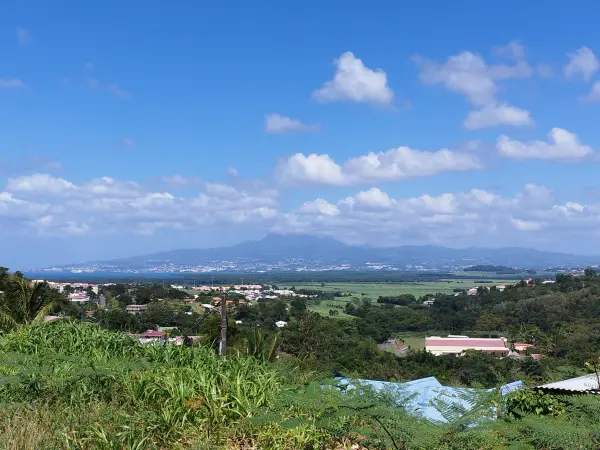 Rivière-Salée 97215 – Vente terrain
