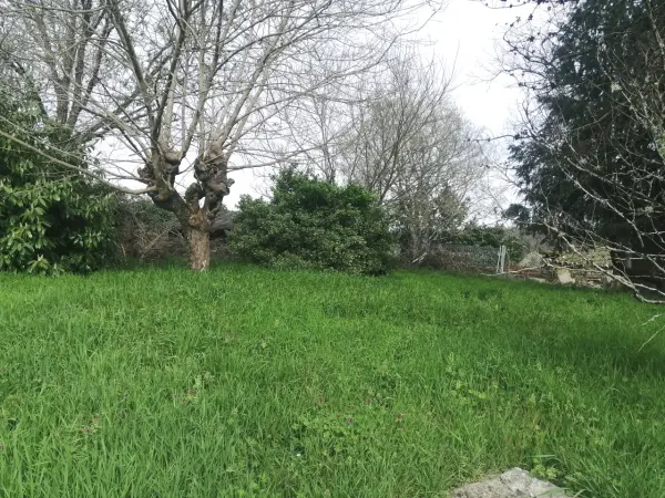 Salles-de-Castillon 33350 – Vente terrain