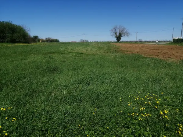 Rauzan 33420 – Vente terrain