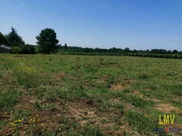 Doulezon 33350 – Vente terrain