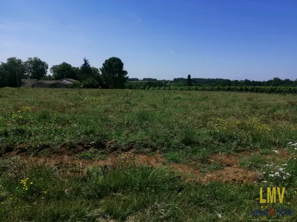 Doulezon 33350 – Vente terrain