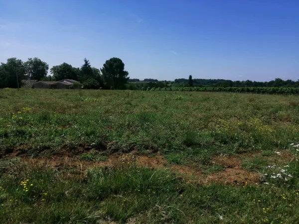 Doulezon 33350 – Vente terrain