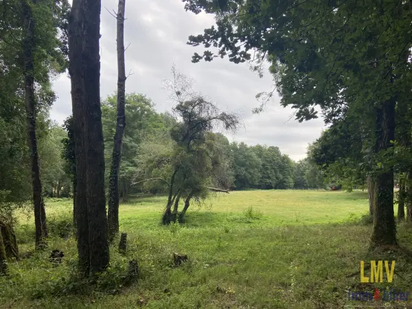 Salles-de-Castillon 33350 – Vente terrain