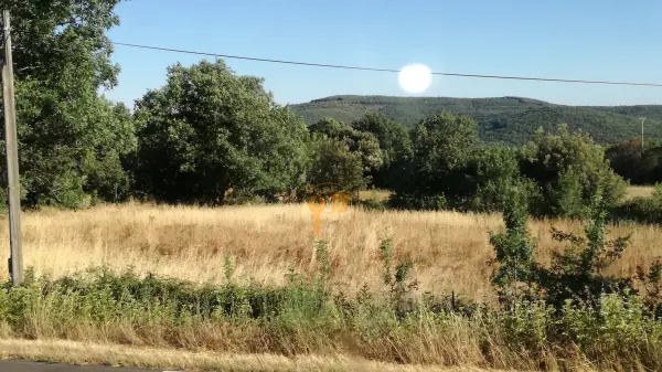 Valmascle 34800 – Vente terrain