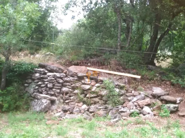 Valmascle 34800 – Vente terrain