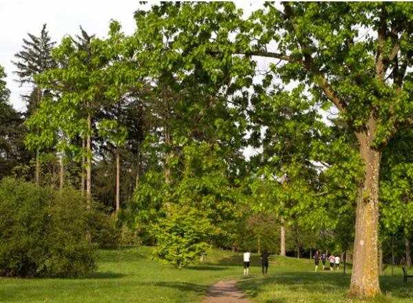 Houilles 78800 – Vente cave