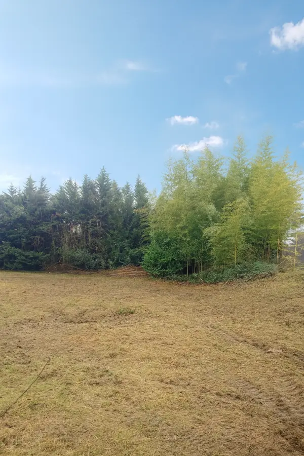 Lentilly 69210 – Vente terrain