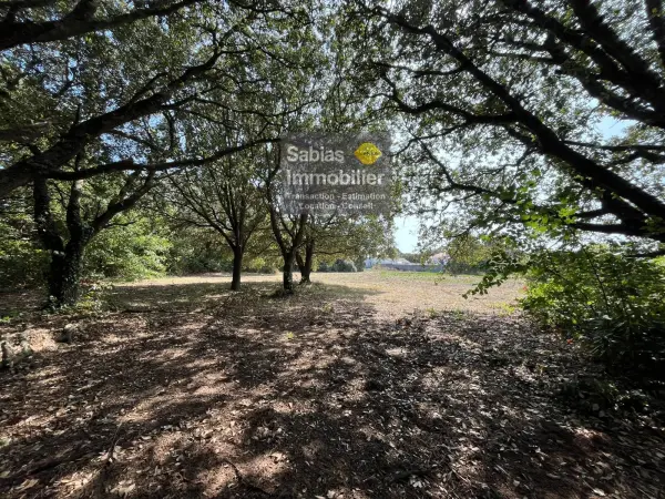 L&rsquo;Île-d&rsquo;Yeu 85350 – Vente terrain