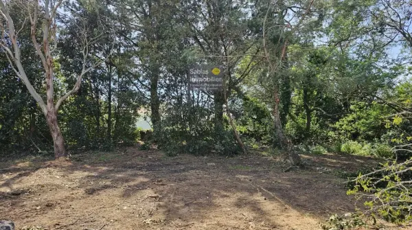 L&rsquo;Île-d&rsquo;Yeu 85350 – Vente terrain