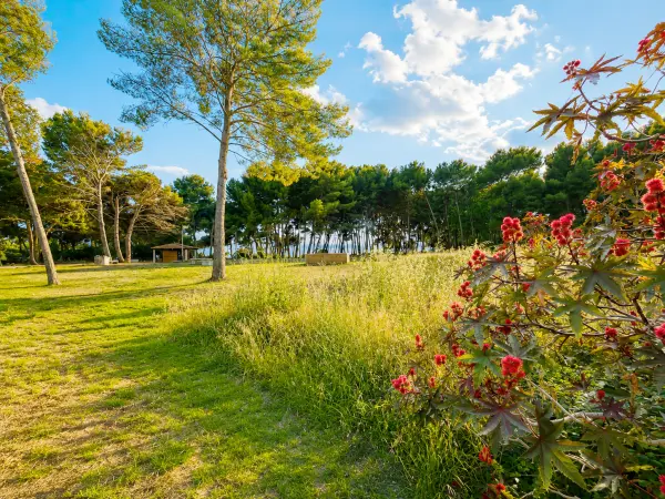 Saint-Mandrier-sur-Mer 83430 – Vente appartement 5&nbsp;pièces 4&nbsp;chambres