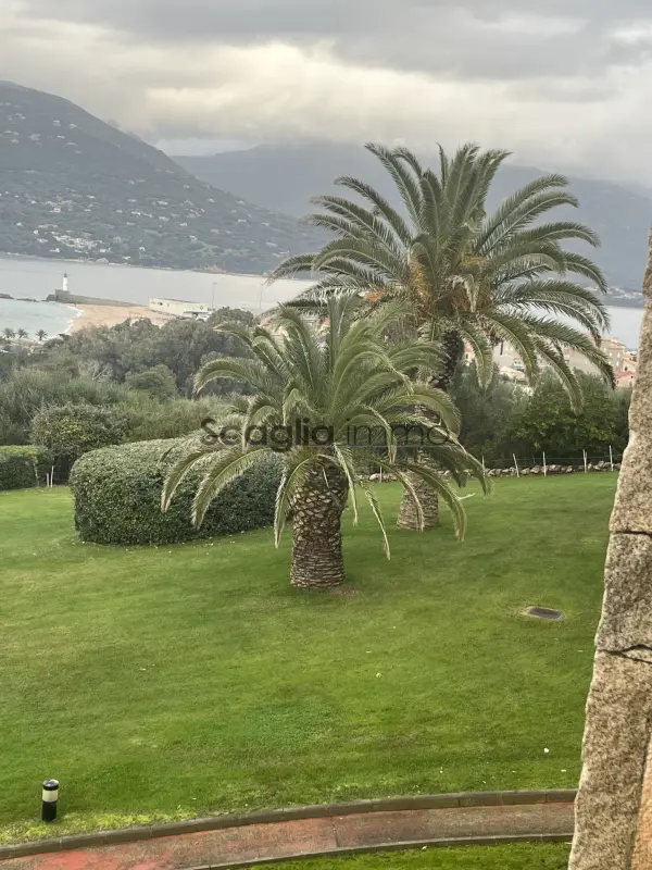 Ajaccio 20000 – Vente local