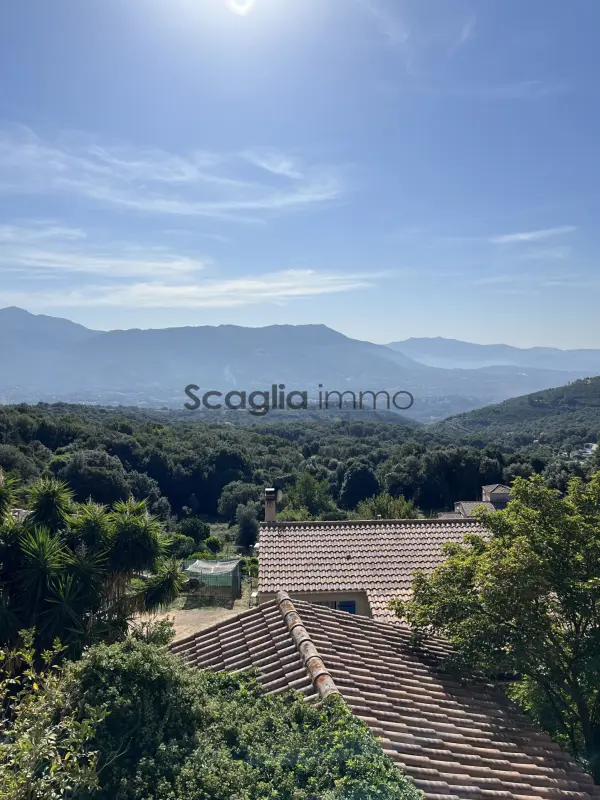 Valle-di-Mezzana 20167 – Vente maison/villa 3&nbsp;pièces 2&nbsp;chambres