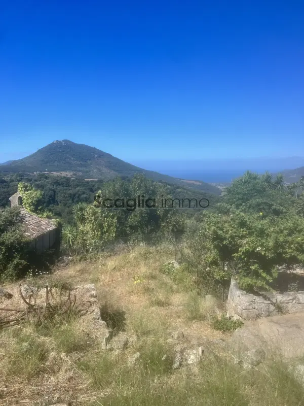 Fozzano 20143 – Vente terrain