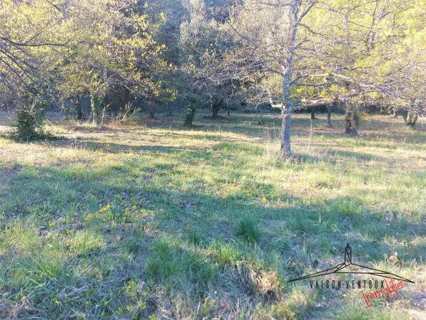 Vaison-la-Romaine 84110 – Vente terrain