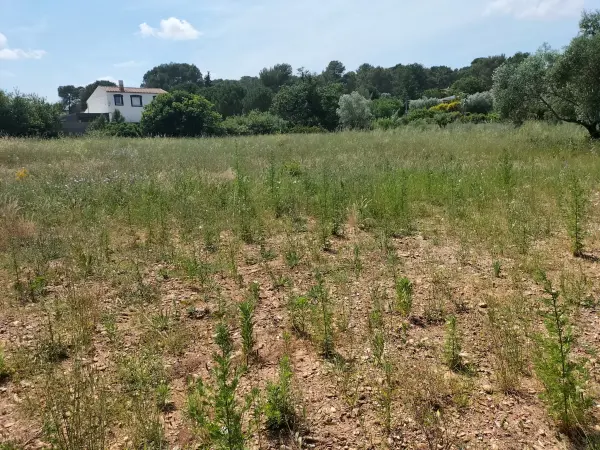 Clermont-l&rsquo;Hérault 34800 – Vente terrain