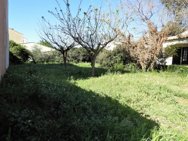 Frontignan 34110 – Vente terrain