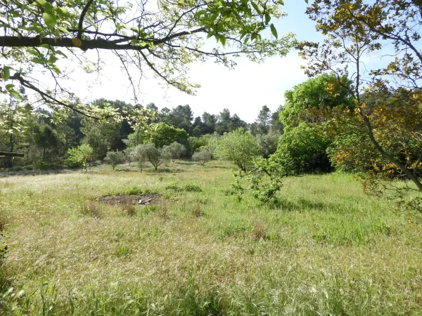 Clermont-l&rsquo;Hérault 34800 – Vente terrain