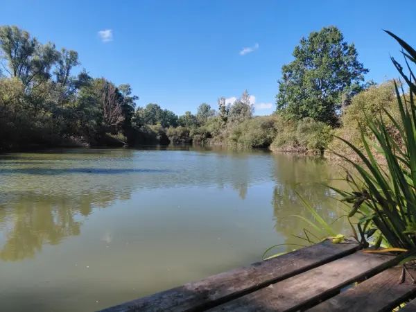 Épineau-les-Voves 89400 – Vente terrain