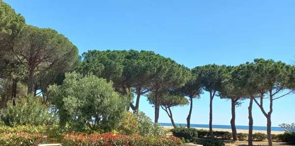 Argeles plage 66700 – Vente appartement 2&nbsp;pièces 1&nbsp;chambre