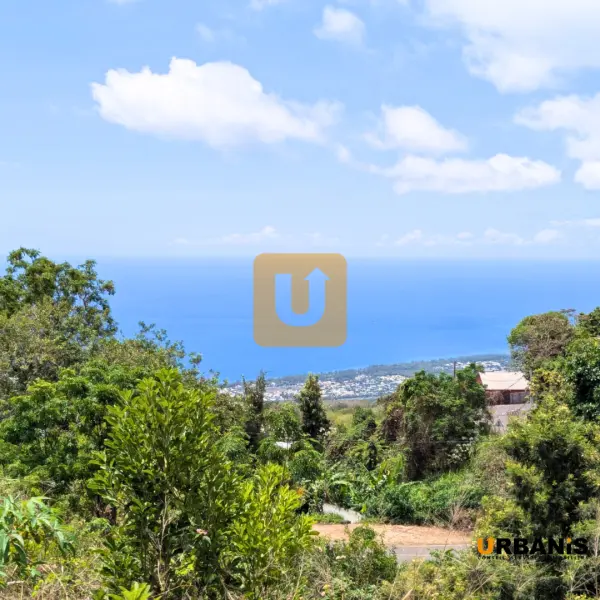 Saint-Paul 97422 – Vente terrain