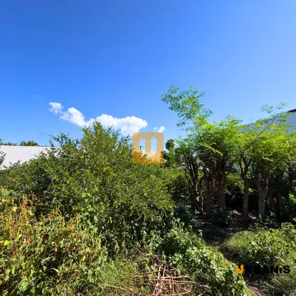 Saint-Paul 97411 – Vente terrain