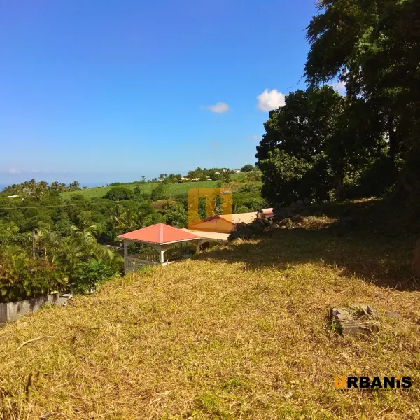 Saint-Pierre 97410 – Vente terrain
