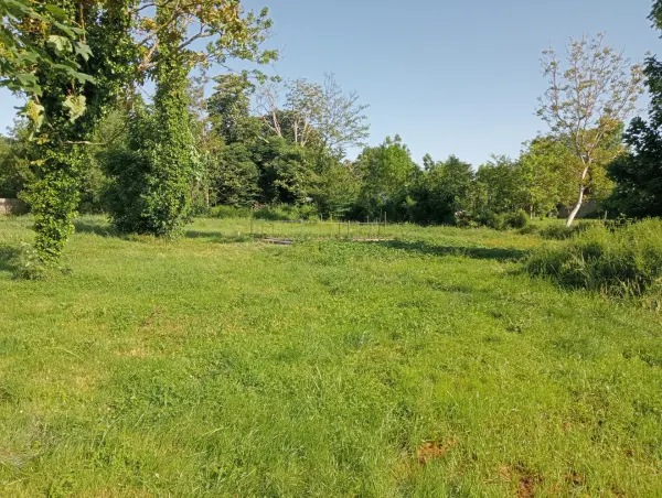 Luçon 85400 – Vente terrain