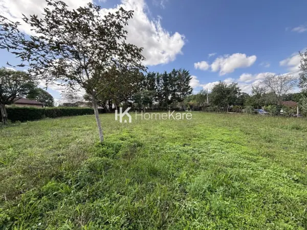 Rieumes 31370 – Vente terrain